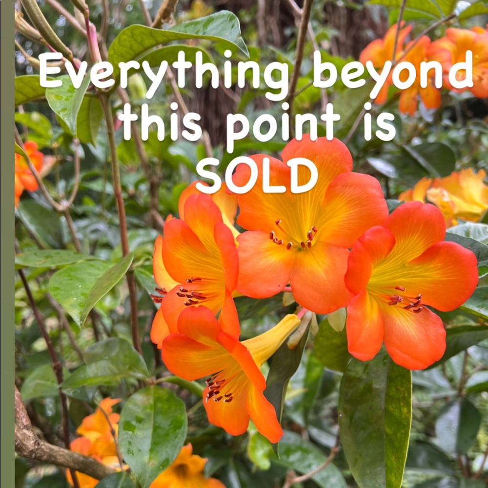 Sold